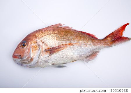 Food ingredients 39310988