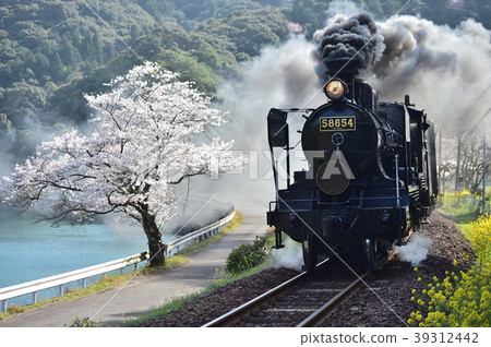 vehicle 39312442