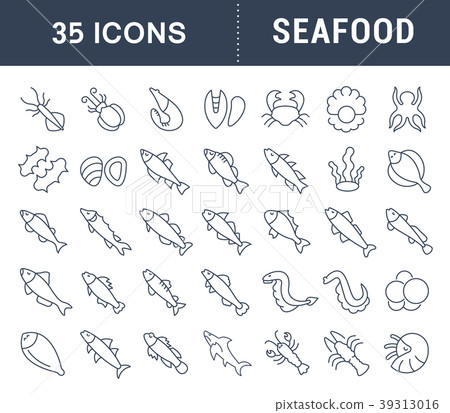 Set Vector Line Icons of Seafood Set Vector Line Icons of Seafood 39313016