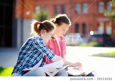 Young happy students with books and notes outdoors Young happy students with books and notes outdoors 39314202