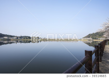 Tachioka自然公園櫻花公園 Tachioka自然公園櫻花公園 39314665