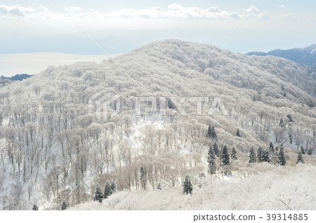 Koyama no Yu：冬天 39314885