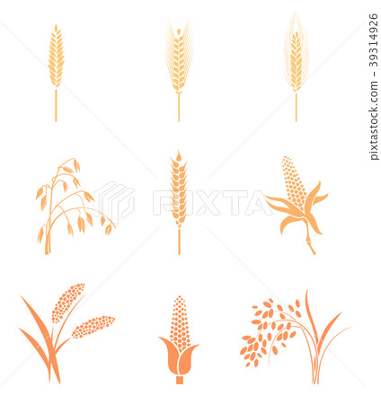 Wheat Ears Icons and Logo Set. Wheat Ears Icons and Logo Set. 39314926