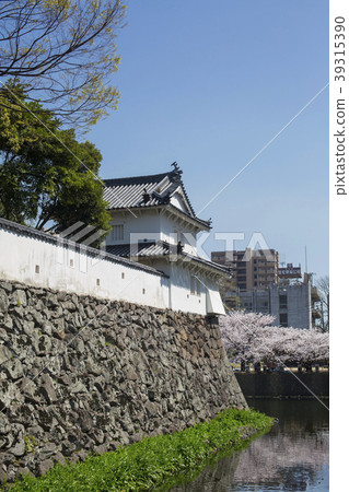 Fuuchi Jyoen和Sakura 39315390