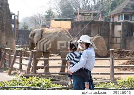 Parents and children enjoying at the zoo Parents and children enjoying at the zoo 39316046