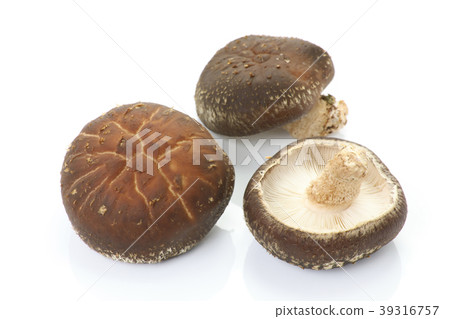 Fresh raw shiitake picked Fresh raw shiitake picked 39316757
