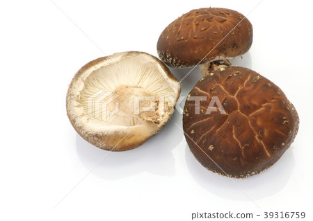 Fresh raw shiitake picked Fresh raw shiitake picked 39316759