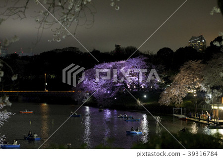 Chidorigafuchi cherry blossoms and night view # 2 Chidorigafuchi cherry blossoms and night view # 2 39316784