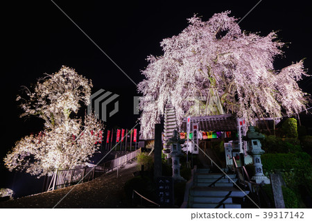 Weeping cherry blossoms at Linyang Temple 39317142