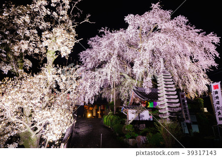 Weeping cherry blossoms at Linyang Temple 39317143