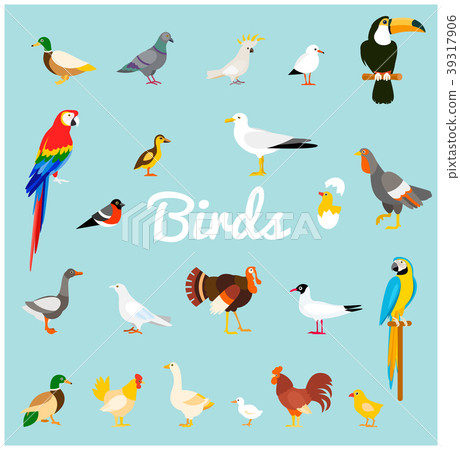 A set of domestic and wild birds in a flat style. A set of domestic and wild birds in a flat style. 39317906