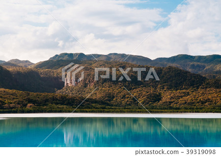 Urauchi river mangrove forest Iriomote, Okinawa 39319098