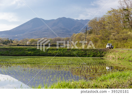 Tochigi Prefecture Nasu mountain range and rice field (May) 39320181