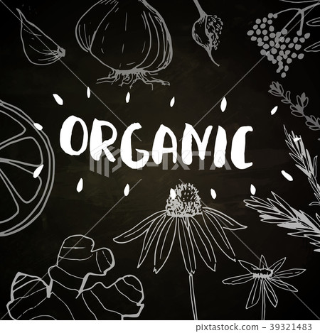 Herbs and medicinal plants collection. Vector hand 39321483