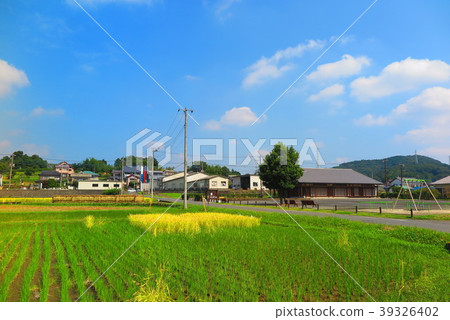 農村秋天的風景15 39326402