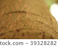 Closeup Tree trunk texture blurred background 39328282