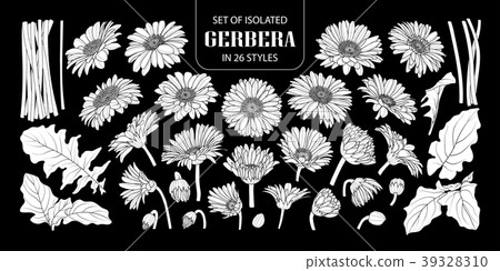 Set of isolated white silhouette gerbera 39328310