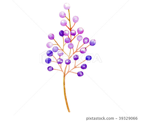 Isolated vector purple plant wedding decoration Isolated vector purple plant wedding decoration 39329066