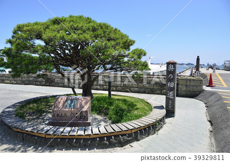 Japan Sankei Matsushima 39329811