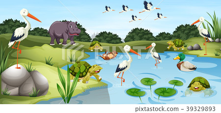 Many wild animals in the pond Many wild animals in the pond 39329893