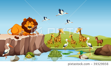 Wild animals living by the pond Wild animals living by the pond 39329938