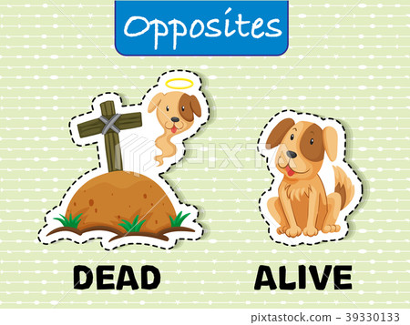 Opposite Words For Dead And Alive Stock Illustration 39330133 Pixta