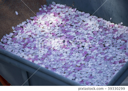 花瓣地毯 花瓣地毯 39330299