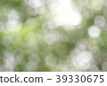 Beautiful nature green bokeh background 39330675