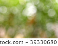 Beautiful nature green bokeh background. 39330680