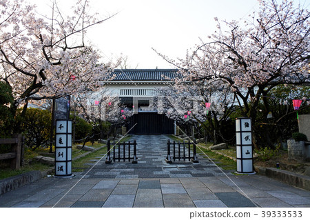 Kishiwada castle 39333533