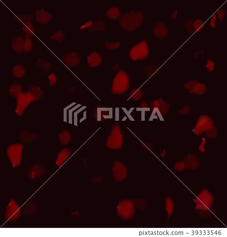 Red roses petals are falling down. 39333546
