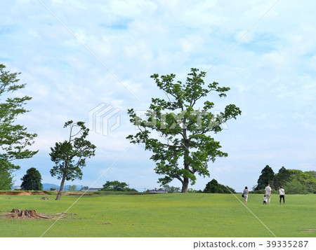 Green field with blue sky at Nara park, Japan. 39335287