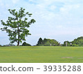 Green field with blue sky at Nara park, Japan. 39335288