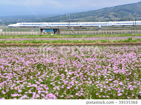 Renge Field and Shinkansen-15179 Renge Field and Shinkansen-15179 39335368