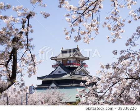Cheongju castle and cherry blossom From the other side of Gojo River 39336220