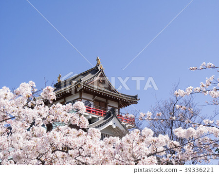 清州城堡和櫻花 39336221