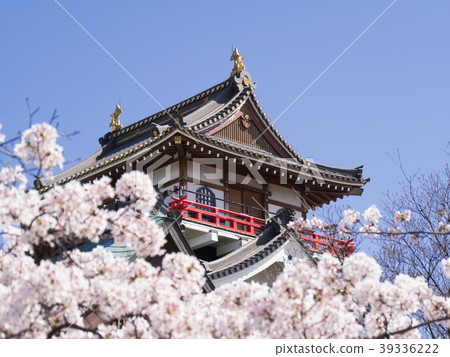 Cheongju castle and cherry blossoms 39336222