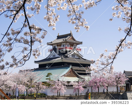 Cheongju castle and cherry blossom From the other side of Gojo River 39336223