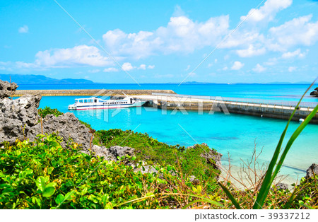 Panari Island Pier 39337212