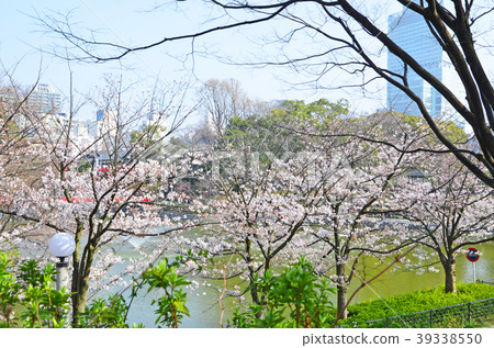 Scenery around Oasuyama, Osaka Scenery around Oasuyama, Osaka 39338550