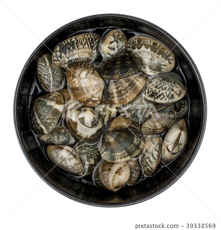 蛤蜊在盤子裡 蛤蜊在盤子裡 39338569