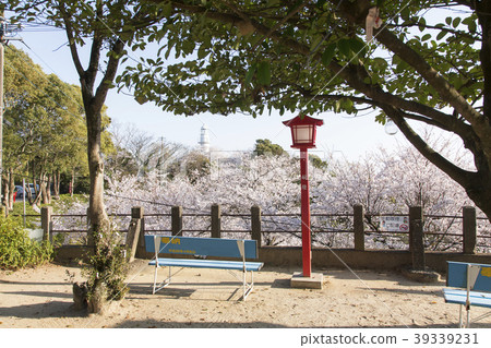 Aroo City Yotsuyama Shrine櫻花， 39339231