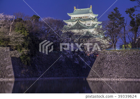 Aichi Prefecture Nagoya Castle Sakura night view 39339624