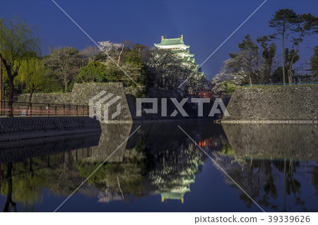 Aichi Prefecture Nagoya Castle Sakura night view 39339626