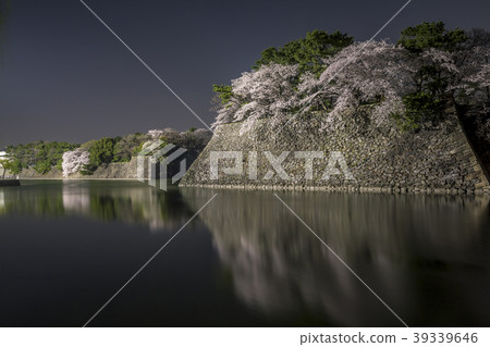 Aichi Prefecture Nagoya Castle Sakura night view Aichi Prefecture Nagoya Castle Sakura night view 39339646
