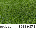 Artificial grass 39339874