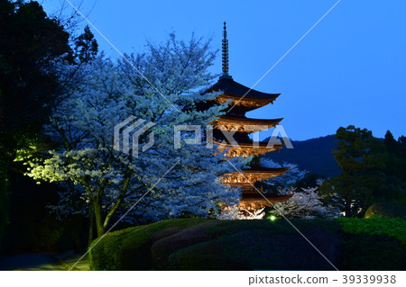 Rurikoji寺五層塔燈亮起 Rurikoji寺五層塔燈亮起 39339938