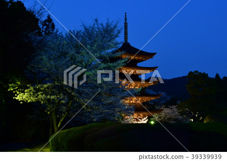 Rurikoji Temple Five-Story Tower Light Up 39339939
