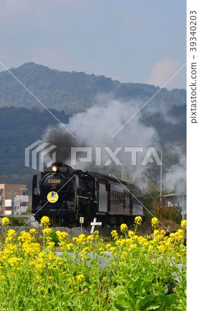 SL山口2017年春天的服務 SL山口2017年春天的服務 39340203