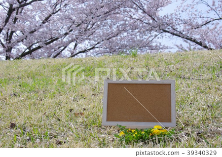 Cherry and cork board Cherry and cork board 39340329